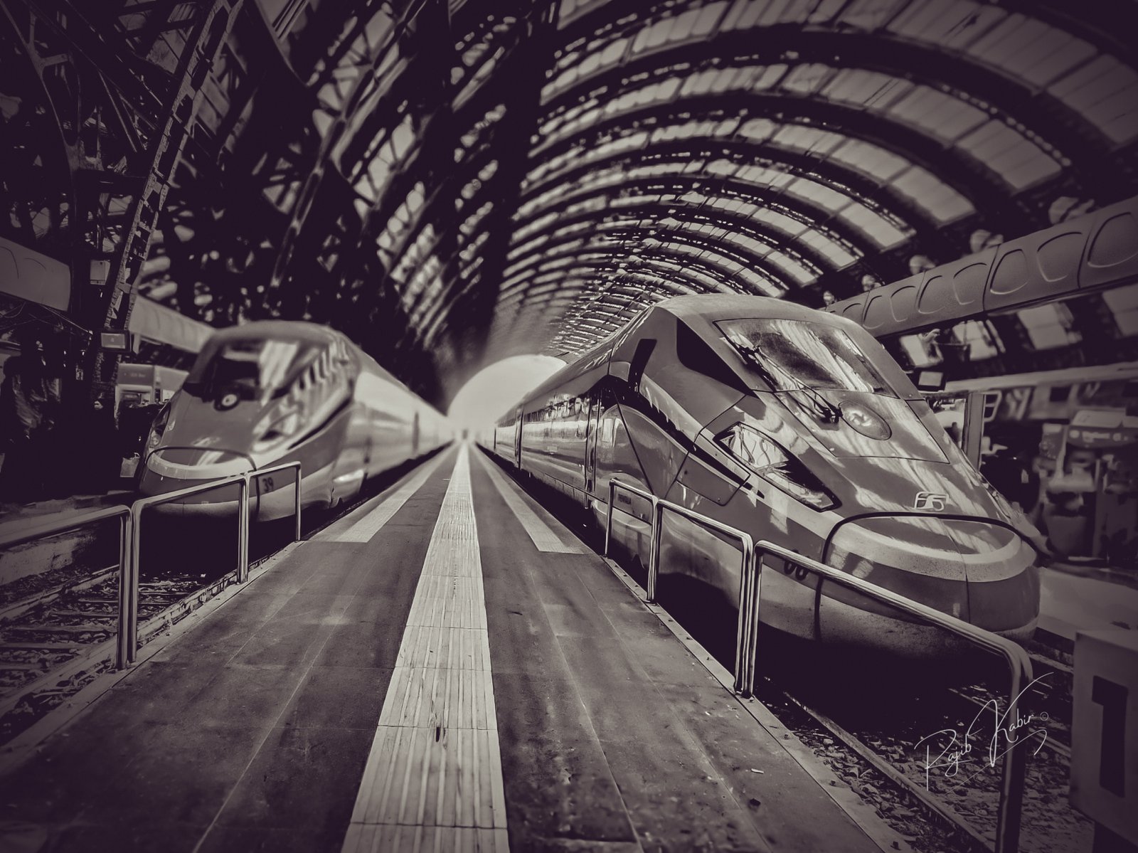 A dynamic black-and-white shot of high-speed trains at a modern railway station.